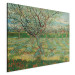 Reproduction Painting Orchard with Apricot Trees in Blossom  159789 additionalThumb 2