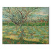 Reproduction Painting Orchard with Apricot Trees in Blossom  159789