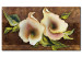 Canvas Art Print White Calla lilies (1-piece) - abstract floral motif on a brown background 46689
