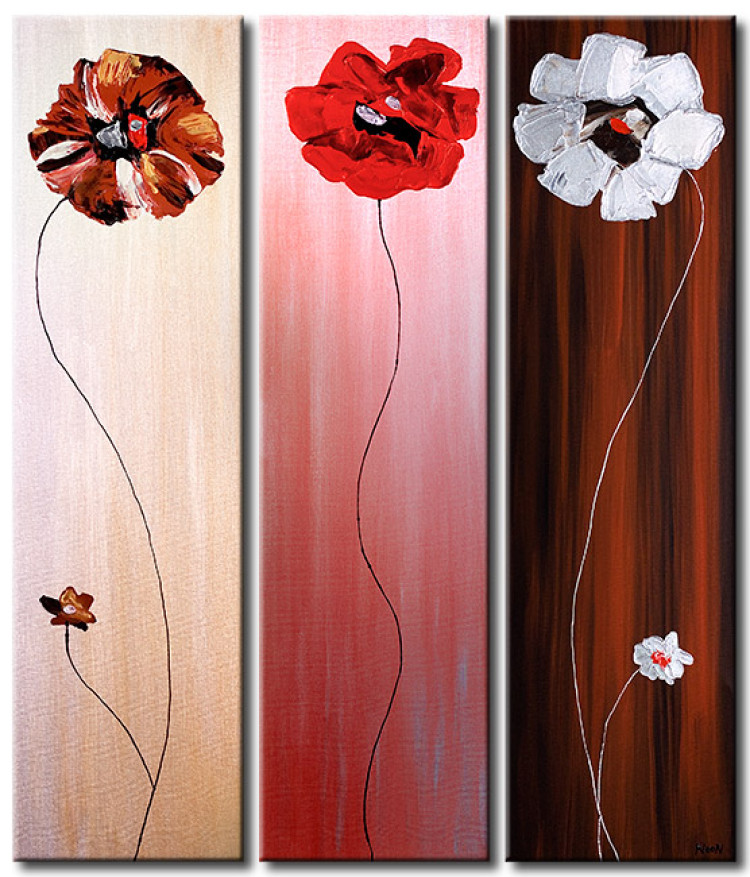 Canvas Art Print Three Poppies (3-piece) - Flowers on a solid background in three colours 48589