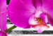 Canvas Modest orchids 55489 additionalThumb 5