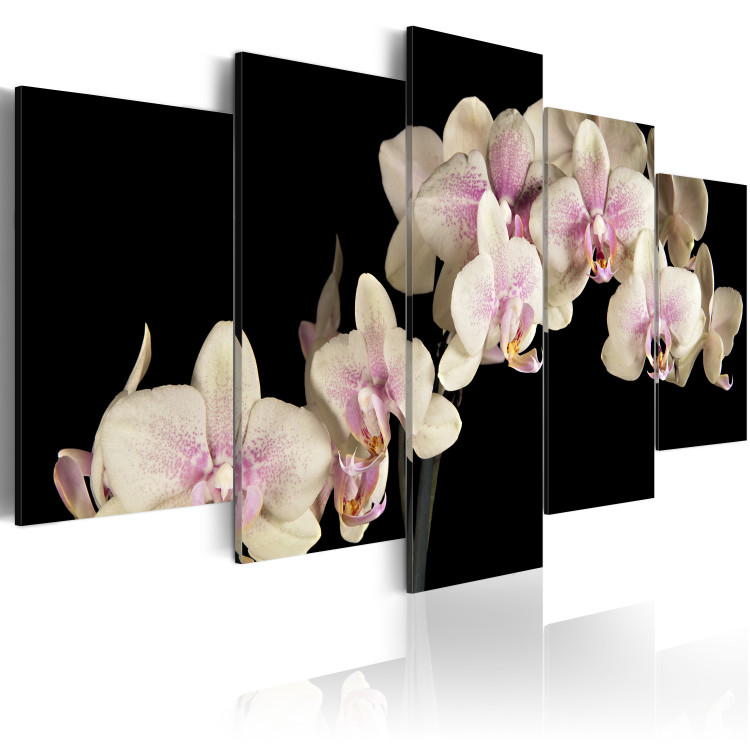 Canvas Print An orchid on a contrasting background 58589 additionalImage 2