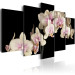 Canvas Print An orchid on a contrasting background 58589 additionalThumb 2
