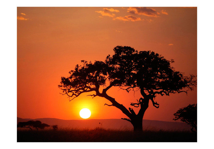 Wall Mural Africa: sunset 60489 additionalImage 1