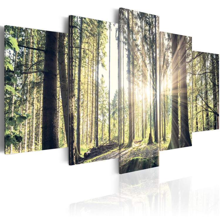 Canvas Art Print Forest Temple 88989 additionalImage 2
