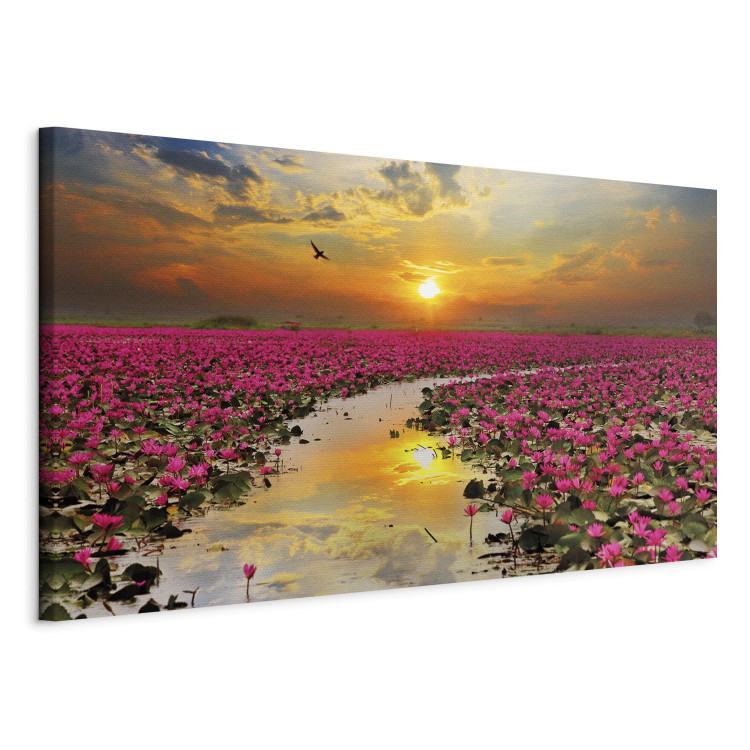Canvas Print Lily Field (1 Part) Wide 107299 additionalImage 2