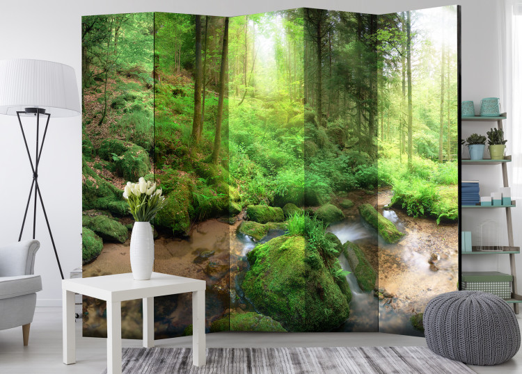 Room Divider Moist Forest II - green landscape of a moist forest with water and stones 108399 additionalImage 4