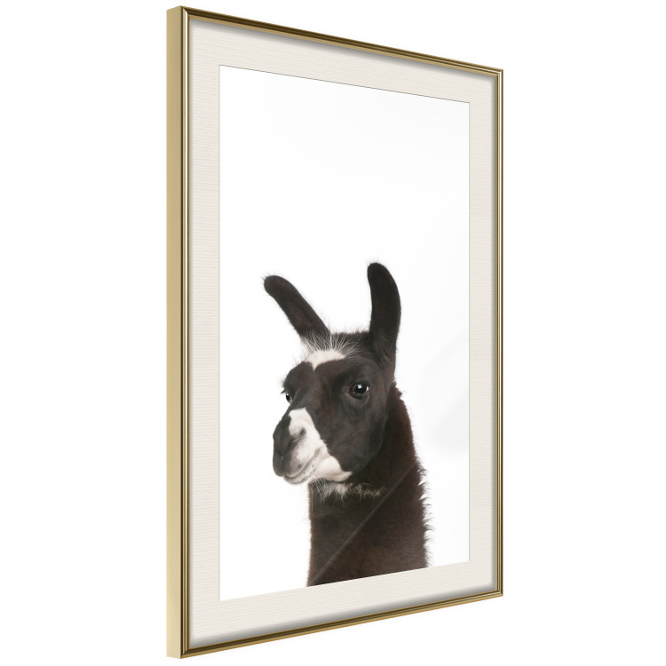 Wall Poster Llama - composition for children with a black and white furry animal 114399 additionalImage 2