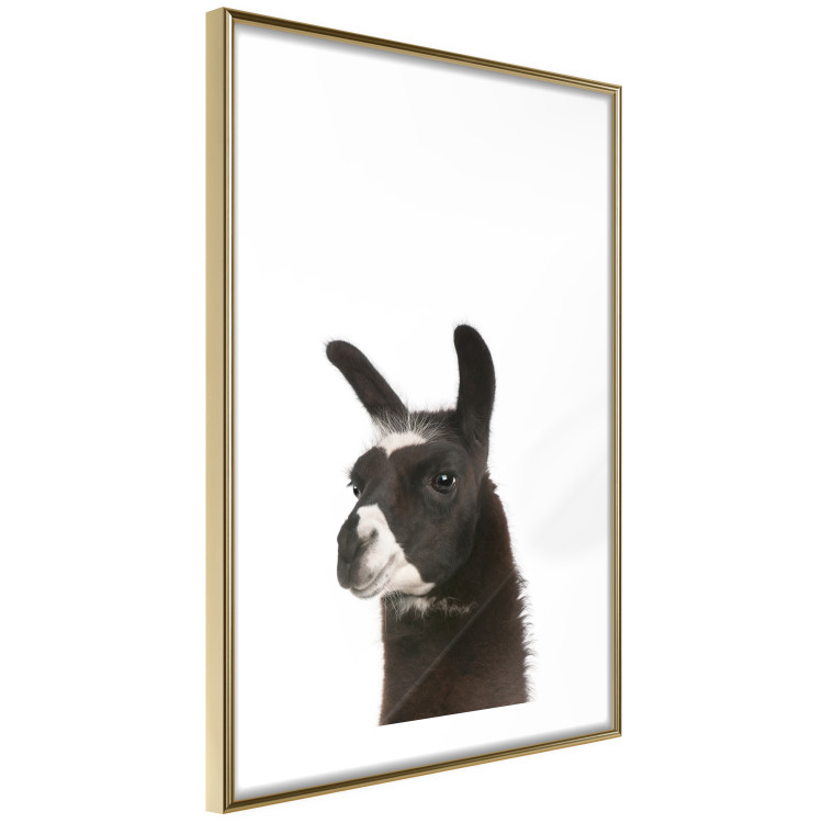 Wall Poster Llama - composition for children with a black and white furry animal 114399 additionalImage 8