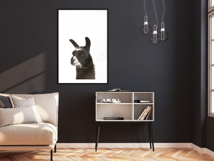 Wall Poster Llama - composition for children with a black and white furry animal 114399 additionalImage 4