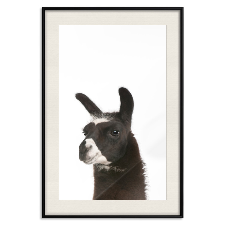 Wall Poster Llama - composition for children with a black and white furry animal 114399 additionalImage 18