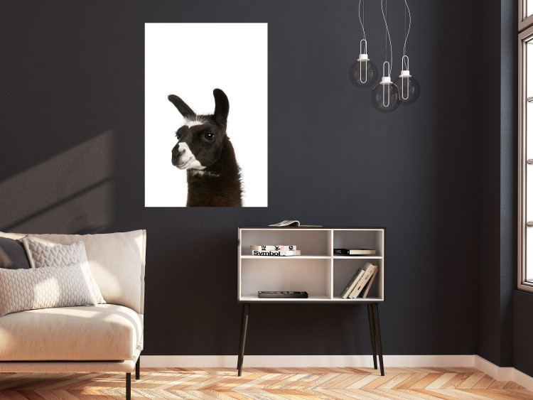 Wall Poster Llama - composition for children with a black and white furry animal 114399 additionalImage 23