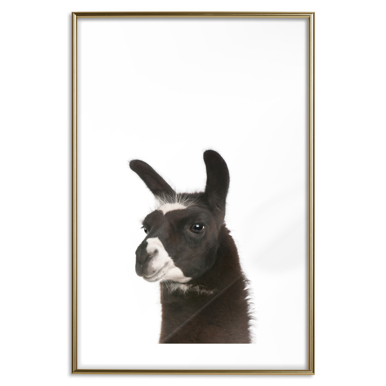 Wall Poster Llama - composition for children with a black and white furry animal 114399 additionalImage 16