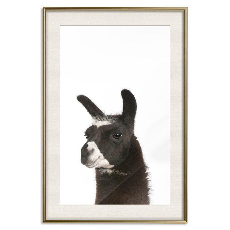 Wall Poster Llama - composition for children with a black and white furry animal 114399 additionalImage 19