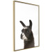 Wall Poster Llama - composition for children with a black and white furry animal 114399 additionalThumb 12
