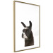 Wall Poster Llama - composition for children with a black and white furry animal 114399 additionalThumb 8