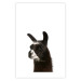 Wall Poster Llama - composition for children with a black and white furry animal 114399 additionalThumb 25