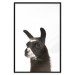 Wall Poster Llama - composition for children with a black and white furry animal 114399 additionalThumb 18