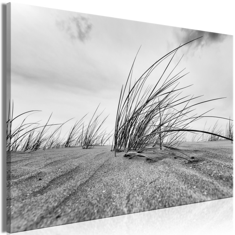 Canvas Sandy Plants (1-part) - Sky and Beach in a Nautical View 114899 additionalImage 2