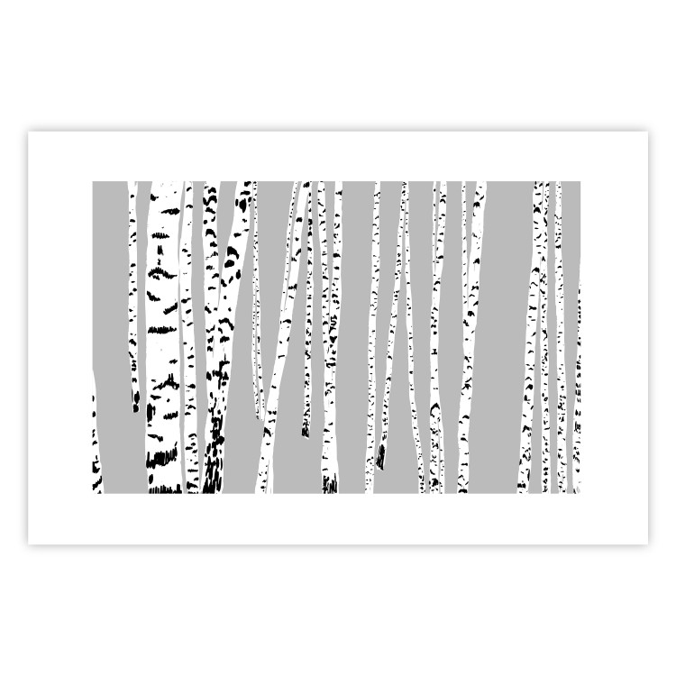 Poster Birches - composition with black and white trees on a grey background 115099 additionalImage 25