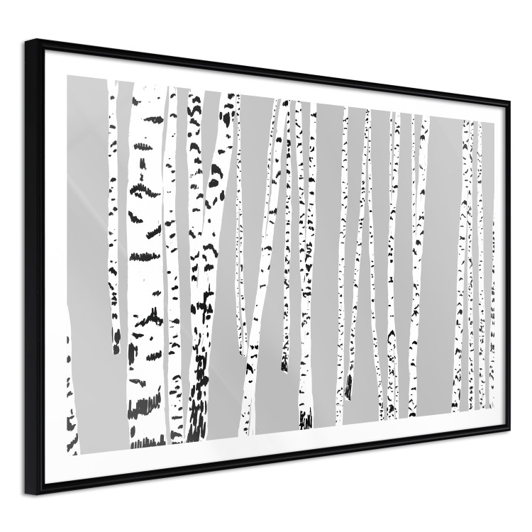 Poster Birches - composition with black and white trees on a grey background 115099 additionalImage 10