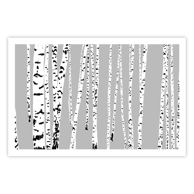 Poster Birches - composition with black and white trees on a grey background 115099