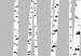 Poster Birches - composition with black and white trees on a grey background 115099 additionalThumb 11