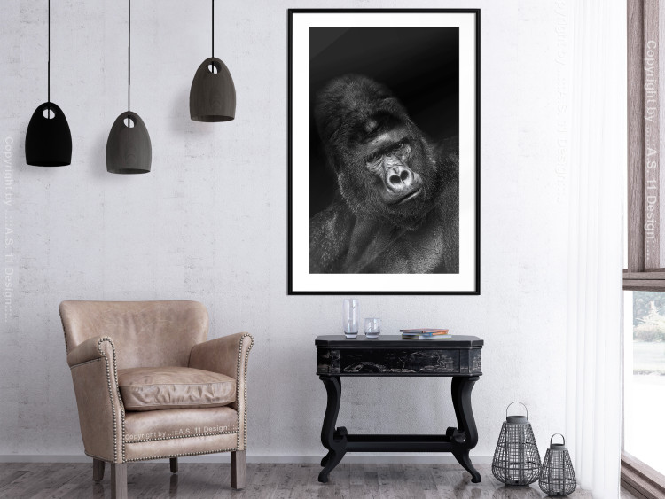 Poster Mountain Gorilla - black and white composition with a portrait of an African ape 116499 additionalImage 5