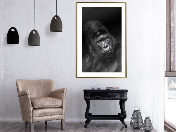 Poster Mountain Gorilla - black and white composition with a portrait of an African ape 116499 additionalImage 13