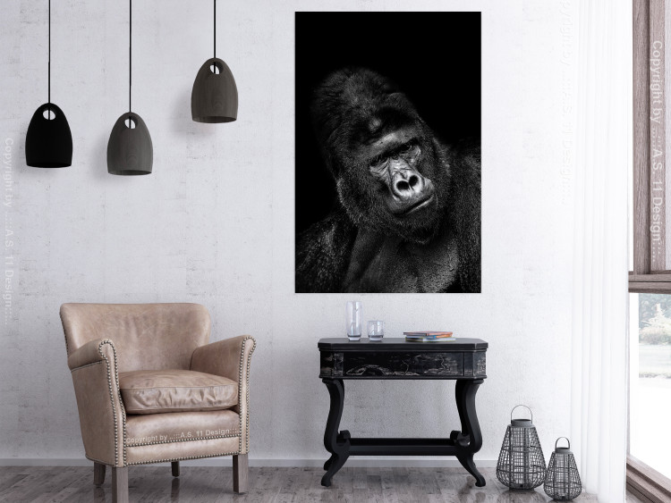 Poster Mountain Gorilla - black and white composition with a portrait of an African ape 116499 additionalImage 17