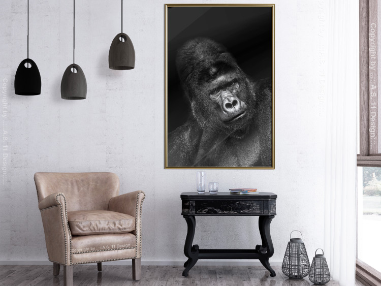 Poster Mountain Gorilla - black and white composition with a portrait of an African ape 116499 additionalImage 6