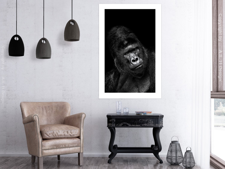 Poster Mountain Gorilla - black and white composition with a portrait of an African ape 116499 additionalImage 4