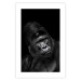 Poster Mountain Gorilla - black and white composition with a portrait of an African ape 116499 additionalThumb 19