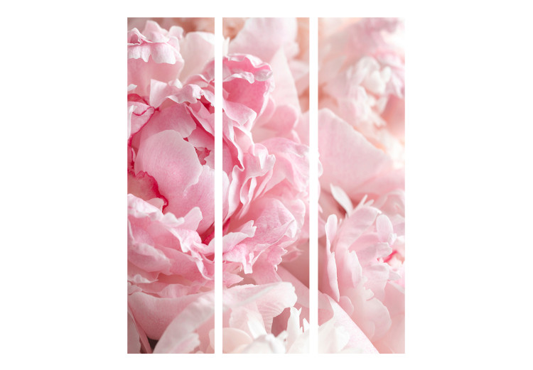 Room Separator Sweet Peonies - pink flower petals against a bright light glow background 118399 additionalImage 3