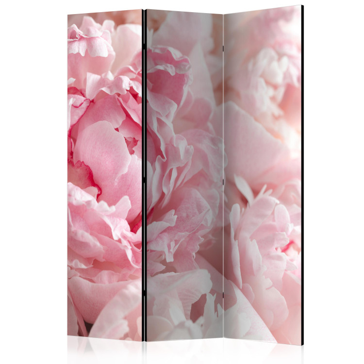 Room Separator Sweet Peonies - pink flower petals against a bright light glow background 118399