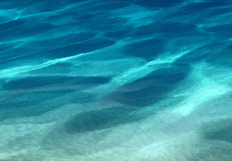 Canvas Art Print Ocean Glow (3-part) - underwater marine world landscape 128799 additionalImage 5