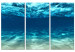 Canvas Art Print Ocean Glow (3-part) - underwater marine world landscape 128799