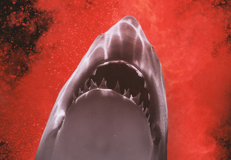 Poster King of the Oceans - abstract shark amidst redness on a black background 129799 additionalImage 12