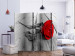 Room Divider Abandoned Rose II - red rose flower on a gray wooden floor 133799 additionalThumb 2
