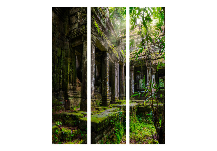 Room Divider Screen Preah Khan - historic architecture covered in vegetation in the jungle 133899 additionalImage 3