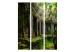 Room Divider Screen Preah Khan - historic architecture covered in vegetation in the jungle 133899 additionalThumb 3