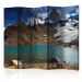 Room Separator Mount Fitz Roy, Patagonia, Argentina II - landscape of lake and mountains 133999