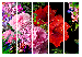 Room Divider June Evening II (5-piece) - colorful flowers on a black background 134299 additionalThumb 7