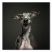 Canvas Print AI Greyhound Dog - Portrait of a Wide Smiling Animal - Square 150199 additionalThumb 7