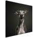 Canvas Print AI Greyhound Dog - Portrait of a Wide Smiling Animal - Square 150199 additionalThumb 2