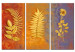 Canvas Print Dried flowers - triptych 58799