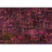Wall Mural Pink Treasure 91599 additionalThumb 5