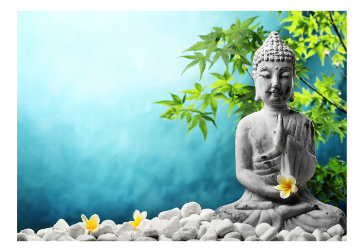 Photo Wallpaper Buddha: Beauty of Meditation 97399 additionalImage 1
