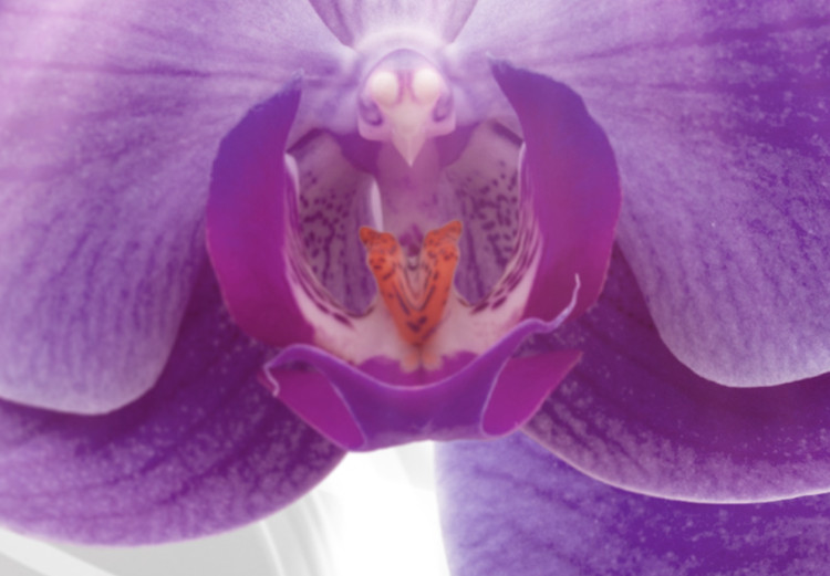 Canvas Print Abstract Garden: Purple Orchis 98099 additionalImage 5
