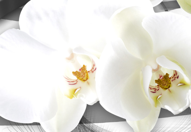 Canvas Curly Orchids - White Flowers on Gray Background with Shiny Squares 98199 additionalImage 4